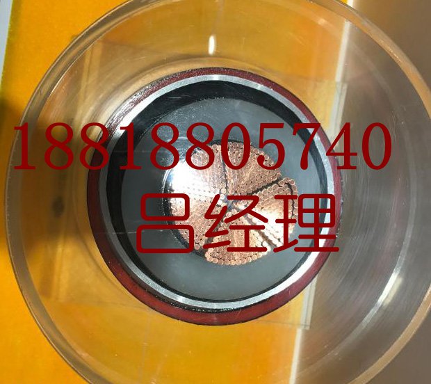 �㶫ag���λ�j9���ŵ���