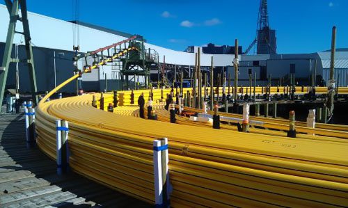 �Ϳ�ɭ���������Ų��Troll�������׶ο���