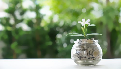 �������������5��Ӣ������֧����ɫ��Ŀ