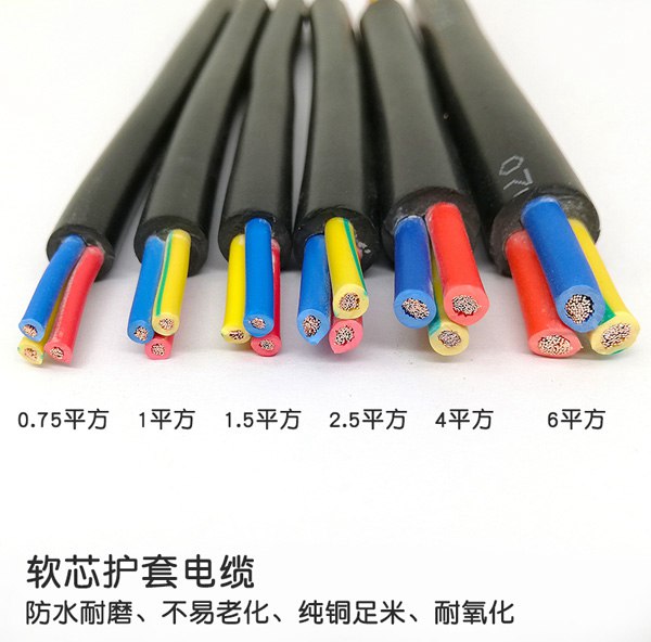 ������RVV����