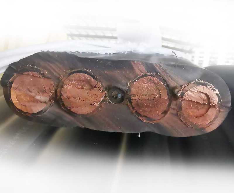 ���������ŵ�����